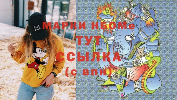 молекула духа Алексин