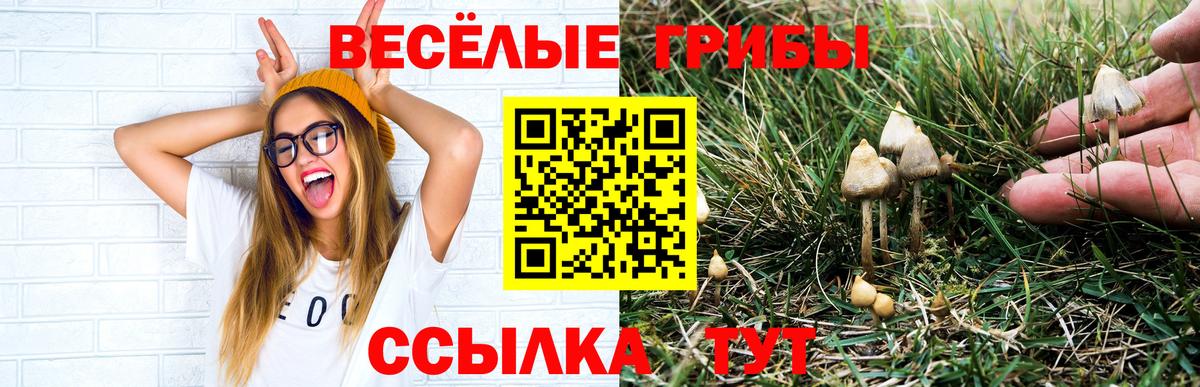 Галлюциногенные грибы GOLDEN TEACHER  Вход с VPN  Нарьян-Мар 