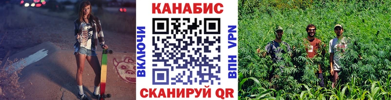 магазин продажи наркотиков  Нарьян-Мар  Конопля гибрид 